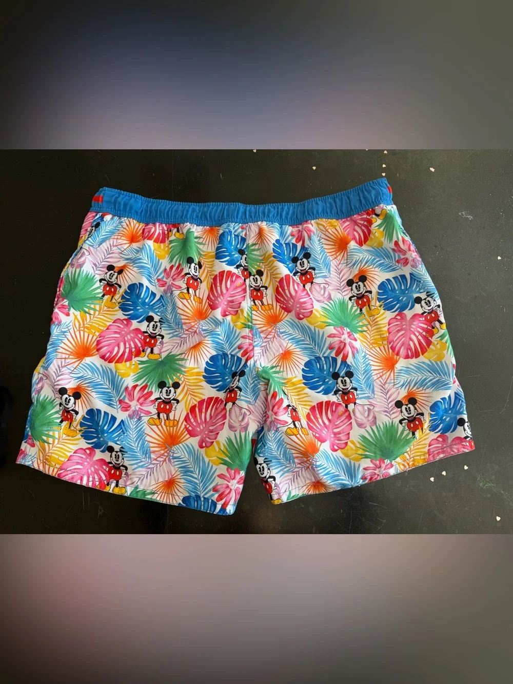 Disney euc mickey
